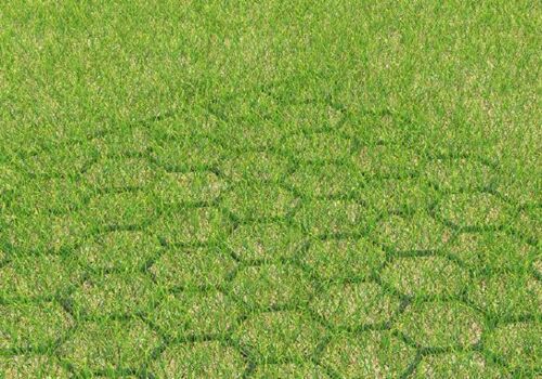 lawn grid